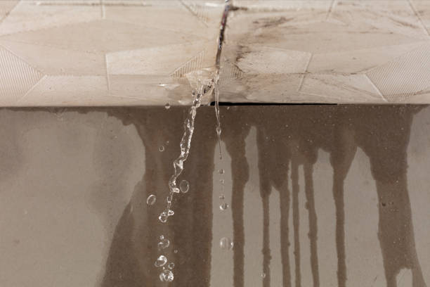 Professional Sewage Cleanup technician working in Overgaard, AZ